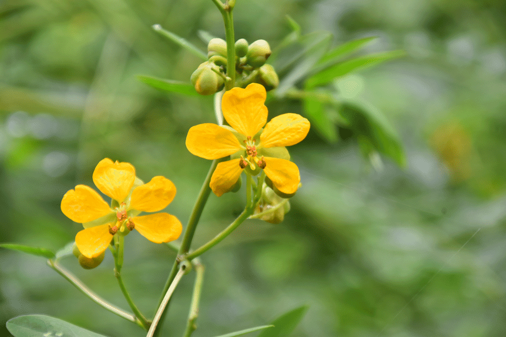 দিনের ছবি (০৫ আগস্ট, ২০২৪)