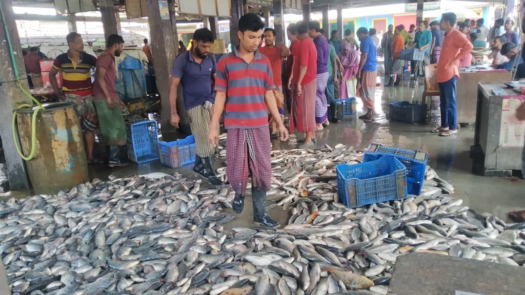 কেশবপুরের মাছ যায় ভারতেও