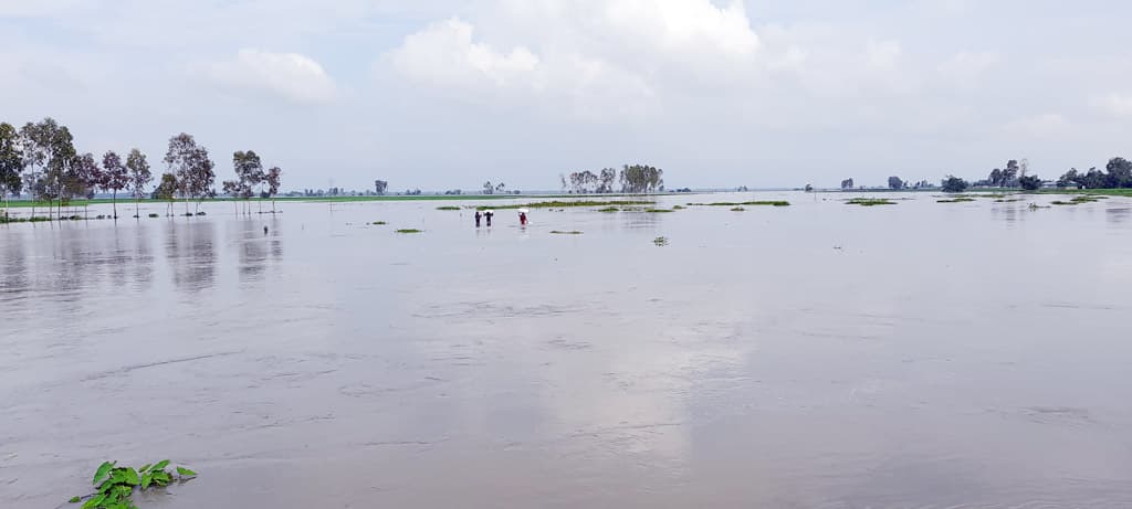 নীলফামারীতে বিপৎসীমার ওপরে বইছে তিস্তার পানি