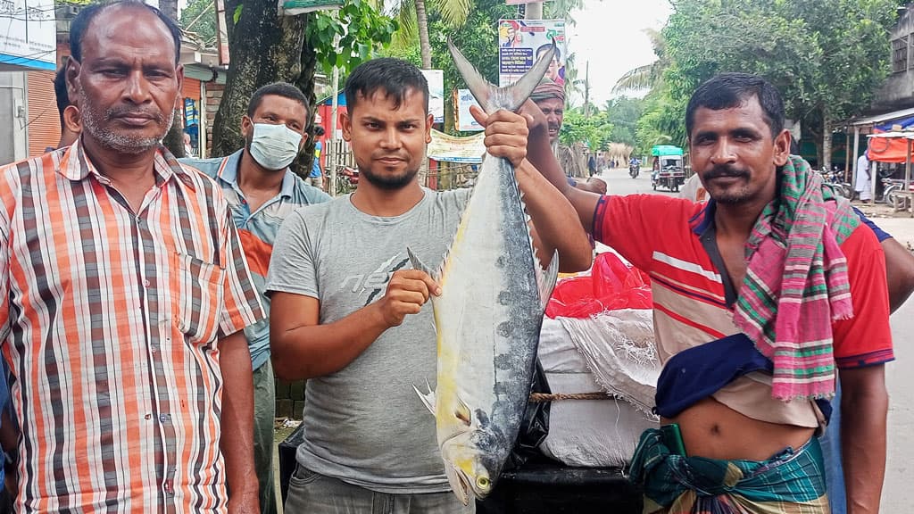 গাংনীর বাজারে নতুন মাছ ‘রকেট ইলিশ’