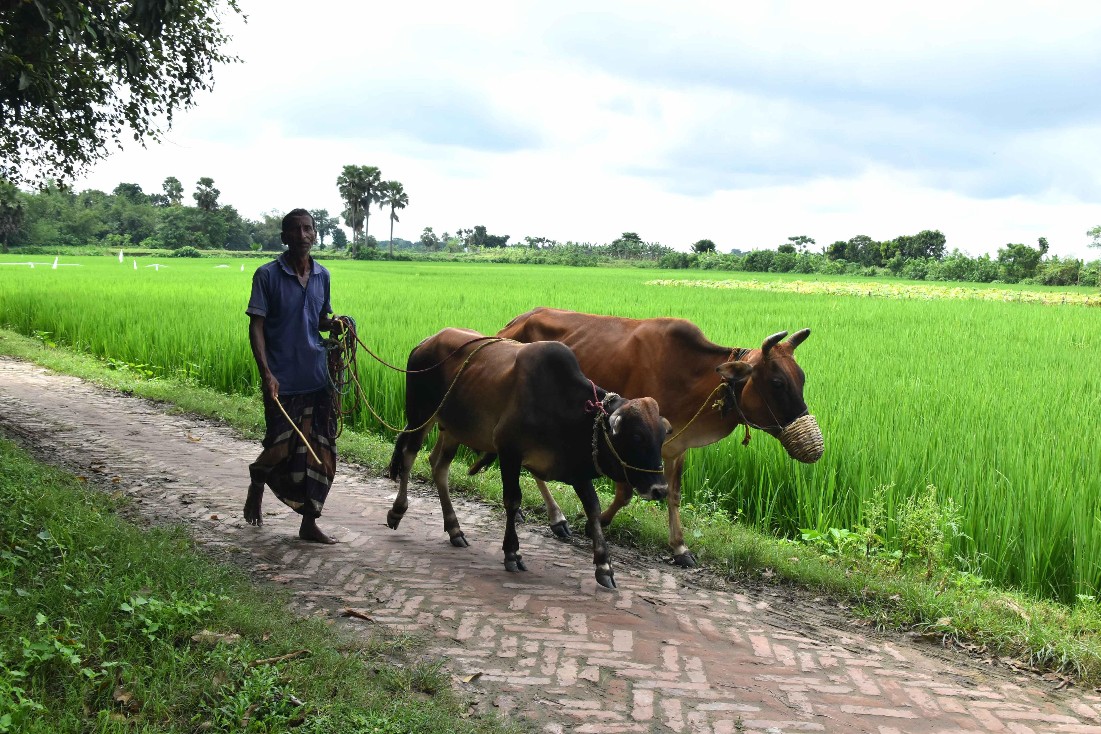 দিনের ছবি (৪ অক্টোবর ২০২৪)