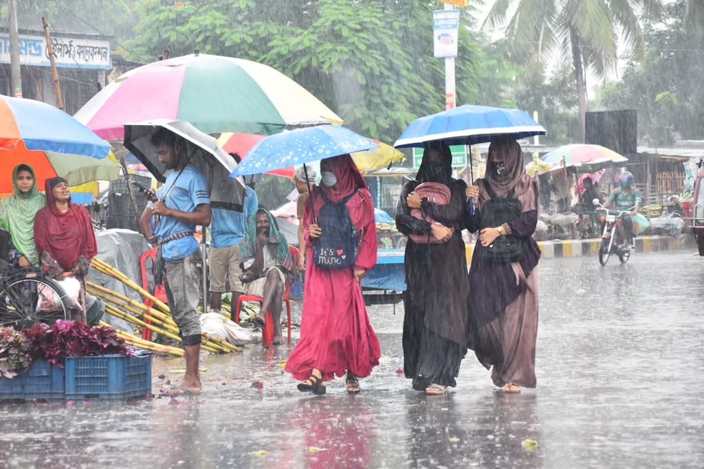 দিনের ছবি (২৩ আগস্ট, ২০২৪)