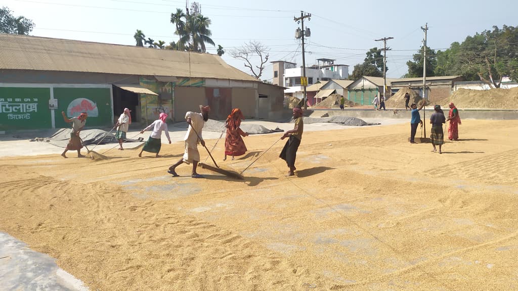 নারীর মজুরি পুরুষের অর্ধেক