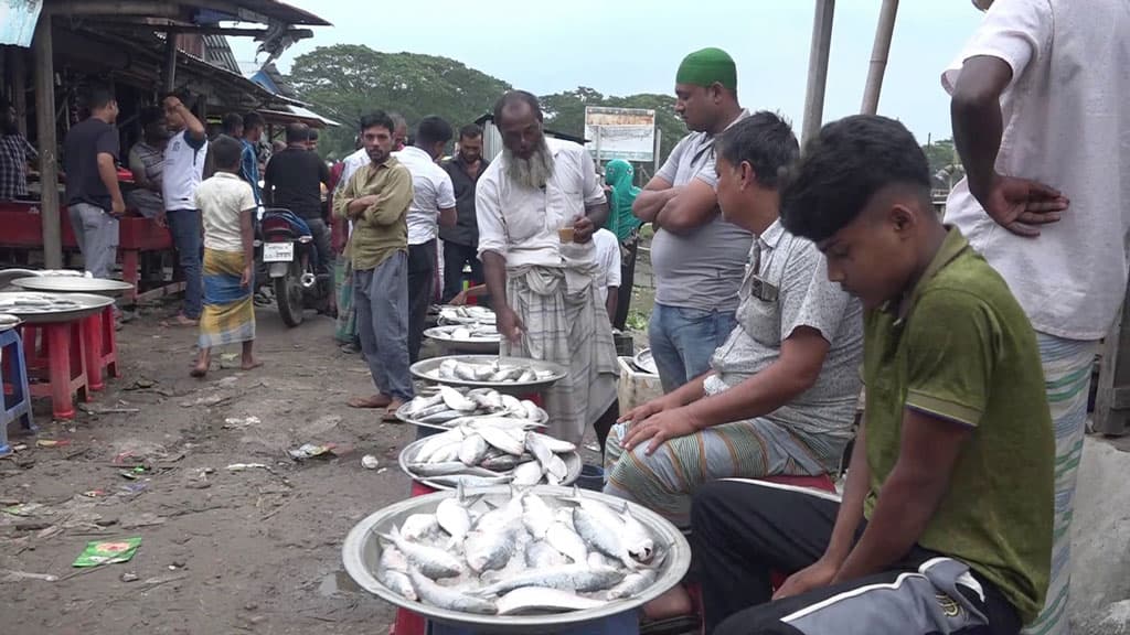 ২২ দিন পর ইলিশ ধরে খুশি জেলেরা, হাটে দাম কম