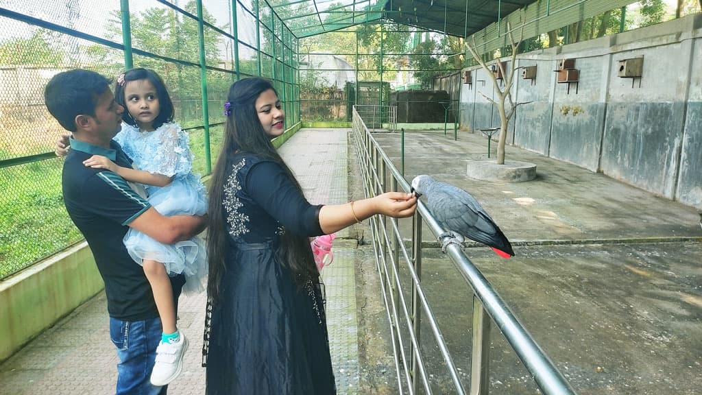 তিন মাস পর খুলে দেওয়া হলো সাফারি পার্ক, দর্শনার্থীদের পদচারণে মুখরিত