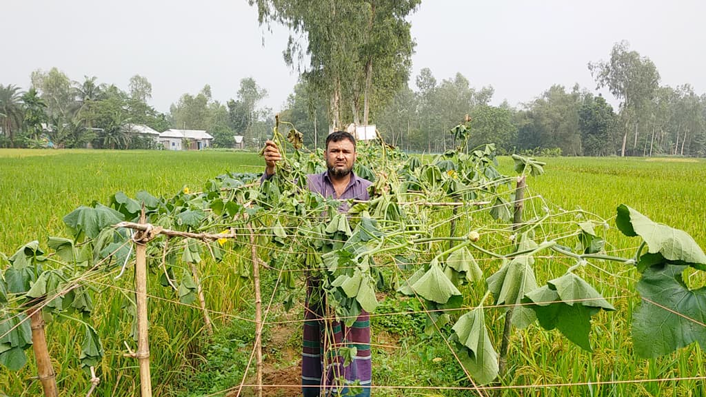 শ্রীবরদীতে রাতের আঁধারে সবজিখেত নষ্ট করার অভিযোগ