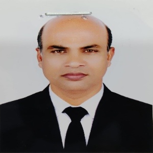 মোঃ মাসুদ মিয়া এর ছবি