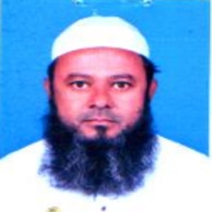 মোঃ হারিসুল বারী এর ছবি