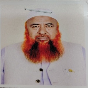 মোঃ দিদারুল মাওলা এর ছবি