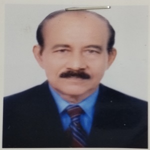 শাহ মফিজ এর ছবি