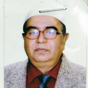 সৈয়দ মেহেদী আহ্‌মেদ রুমী এর ছবি