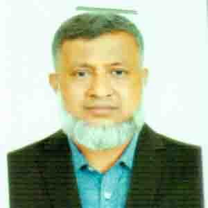 মীর সামসুল আলম এর ছবি