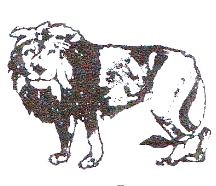 জাতীয়তাবাদী গণতান্ত্রিক আন্দোলন -এনডিএম - সিংহ