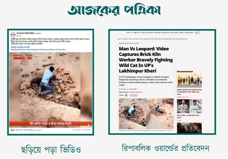 লক্ষ্মীপুরে ইটভাটায় এক যুবক ও চিতাবাঘের লড়াইয়ের দৃশ্য দাবিতে ছড়ানো ভিডিওর সঙ্গে রিপাবলিক ওয়ার্ল্ডের প্রতিবেদনের ভিডিওর সাদৃশ্য। ছবি: স্ক্রিনশট