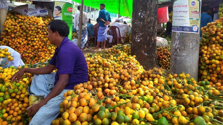 আকারে বড় ও স্বাদে মজা, কক্সবাজারের সুপারির দেশের বিভিন্ন অঞ্চলে আলাদা কদর রয়েছে। ছবি: আজকের পত্রিকা