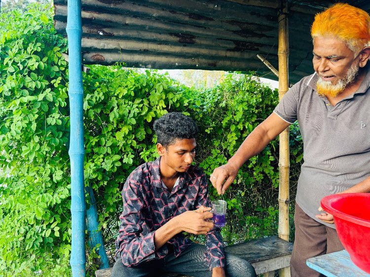 দোকা‌নের পা‌শে অপরাজিতা ফু‌লের গাছ। সেখান থে‌কে তাজা ফুল ছিঁড়ে তৈরি করা হয় নীল আর বেগুনি রঙের চা। ছবি: আজকের পত্রিকা