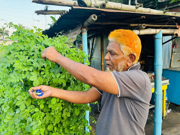 অপরাজিতা ফু‌লের চা পান করতে এসেছেন এক ক্রেতা। ছবি: আজকের পত্রিকা