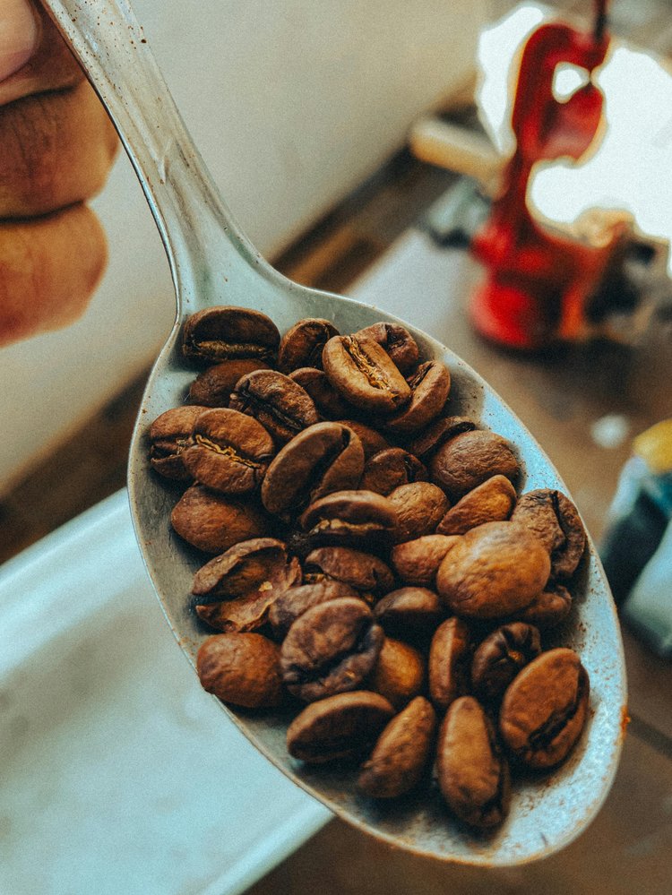 কফি ইন্ডাস্ট্রি প্রতি বছর ১৬ বিলিয়ন পর্যন্ত ডিসপোজিবল কাপ ব্যবহার, ৪ বিলিয়ন গ্যালন পানি এবং লাখ লাখ গাছ নষ্ট করছে। ছবি: পেক্সেলস