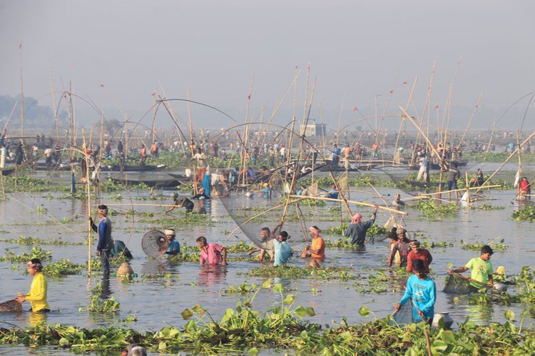 পাবনায় গ্রামবাংলার ঐতিহ্যবাহী বাউত উৎসবে মাছ শিকারে মেতেছেন শৌখিন মৎস্য শিকারিরা। ছবি: আজকের পত্রিকা