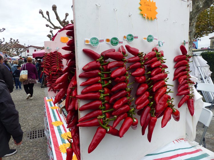 স্পোলেতের মরিচ। ছবি: লেখক।