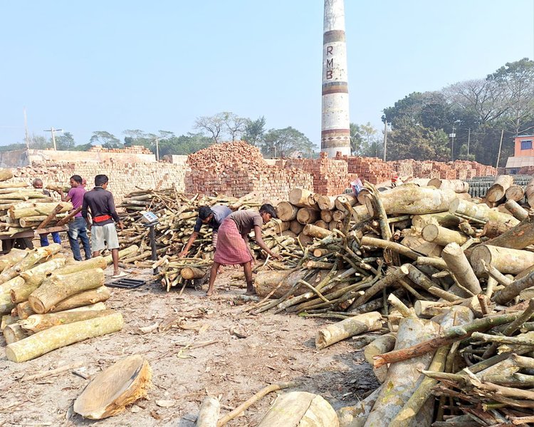 বেতাগী উপজেলা আওয়ামী লীগ সভাপতি গোলাম কবিরের আরএমবি নামের ইটভাটায় স্তূপ করে রাখা কয়েক হাজার মণ কাঠ। ছবি: আজকের পত্রিকা