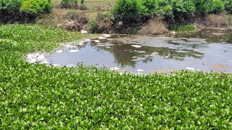চট্টগ্রামের ফটিকছড়িতে তেলপারই খালে ফেলা হয় পশুর চামড়া। ছবি: আজকের পত্রিকা