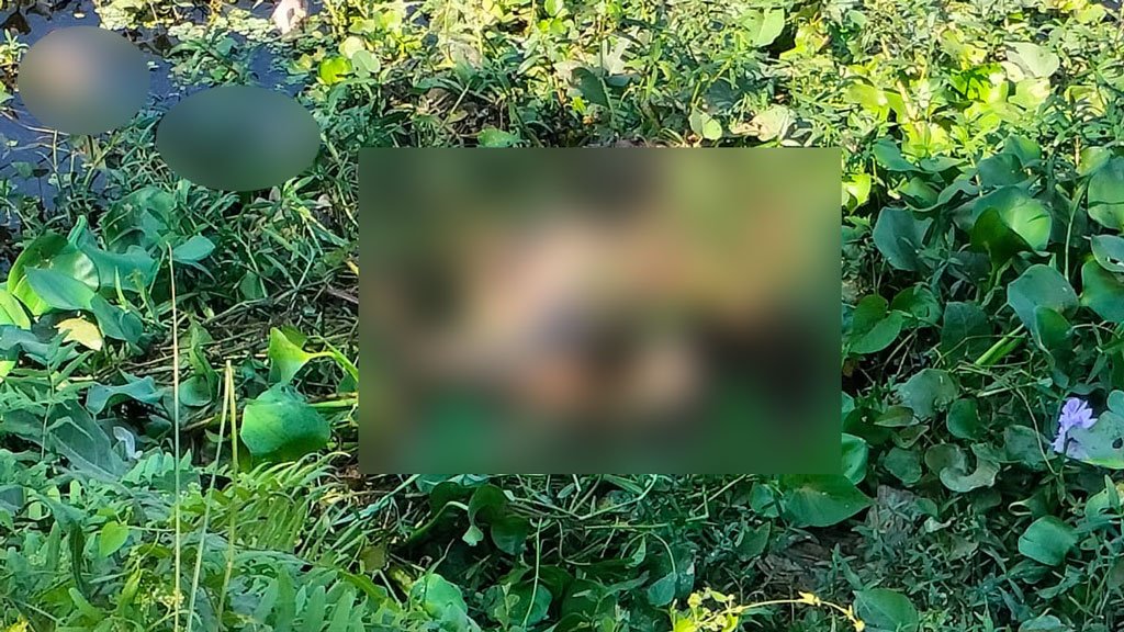 ৪ দিন আগে নিখোঁজ কিশোরের অর্ধগলিত লাশ মিলল দিয়াবাড়ির লেকে