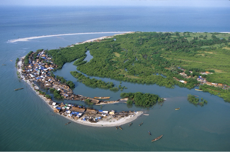 সমুদ্রের পানি ঢুকে পড়ার ফলে গিনি-বিসাউয়ের গ্রাম, কৃষিজমি, ঘরবাড়ি ডুবে যাচ্ছে। ছবি: ইউএনডিপি