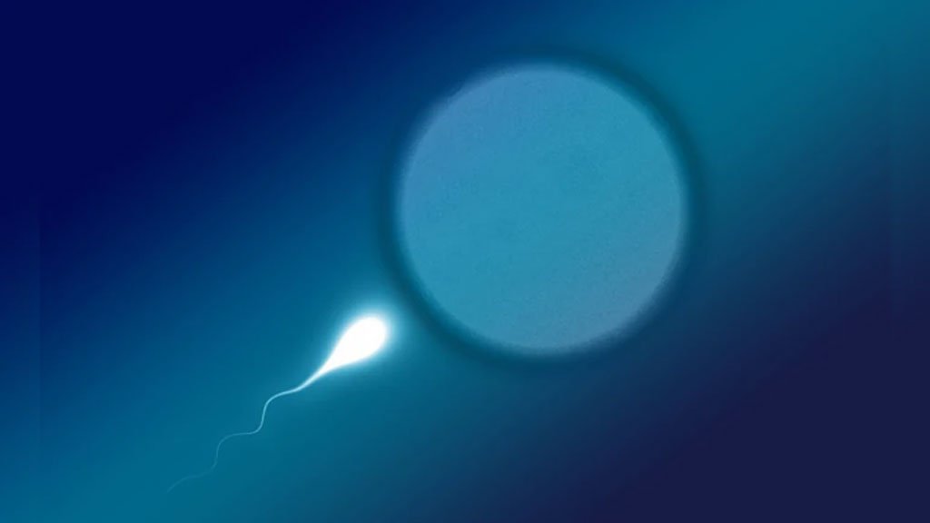 এক শুক্রাণু দাতার জিনগত ত্রুটিতে ক্যানসারের ঝুঁকিতে ৬৭ শিশু, নতুন বিতর্কে আইভিএফ