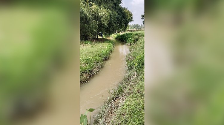 সংস্কারের অভাবে তৈছালা খাল একপ্রকার ড্রেনে পরিণত হয়েছে। ছবি: আজকের পত্রিকা