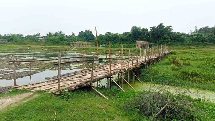 যাতায়াতের একমাত্র ভরসা বাঁশের সাঁকোটি প্রতিবছরই ভেঙে যায় বা চলাচলের অনুপযোগী হয়ে পড়ে। ছবি: আজকের পত্রিকা