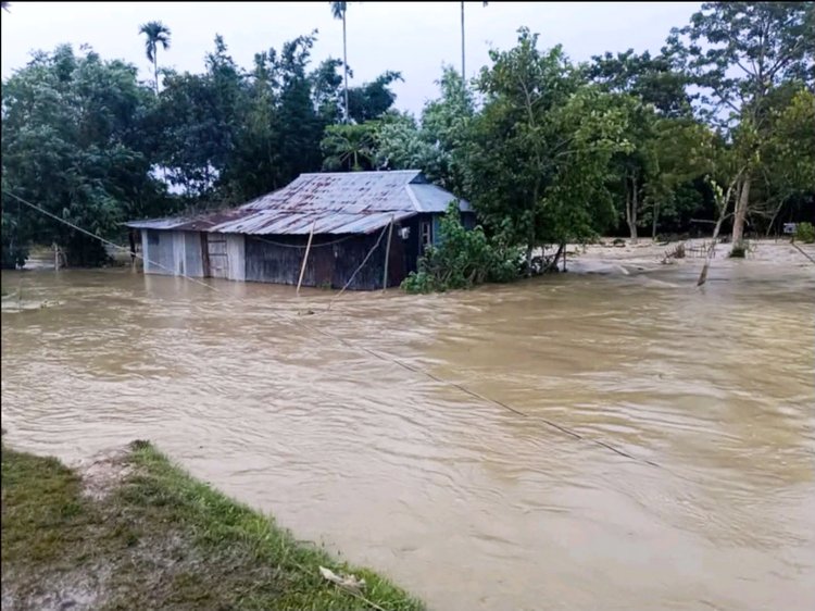 রাজনগর উপজেলার বন্যাকবলিত এলাকা। ছবি: আজকের পত্রিকা