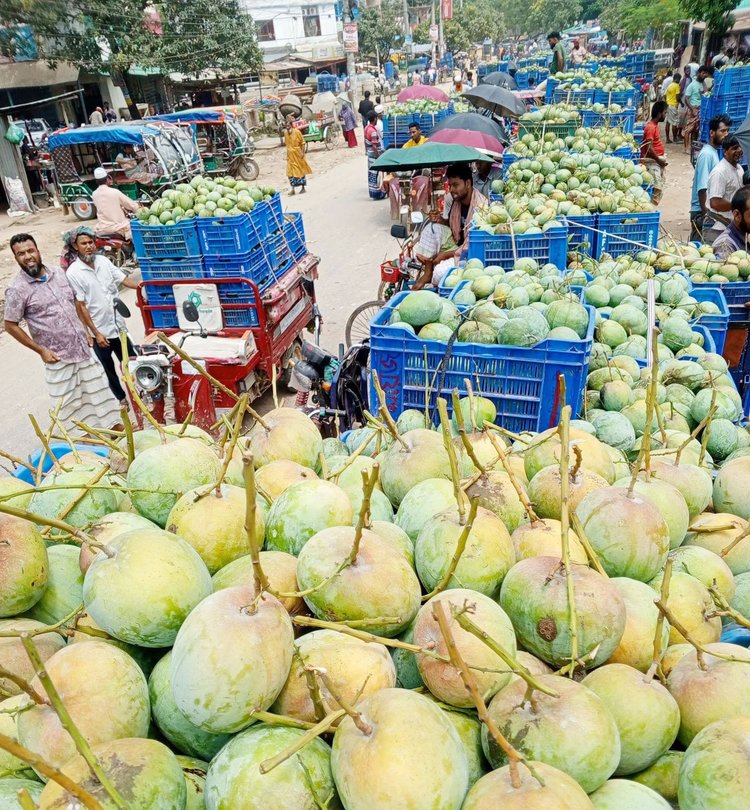 সাপাহার আম বাজার। ছবি: আজকের পত্রিকা