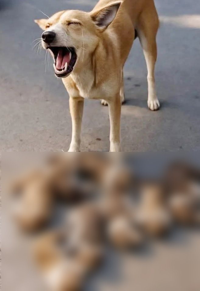 ছবি: আজকের পত্রিকা