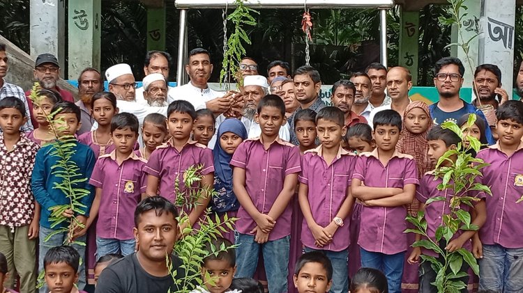প্রধানমন্ত্রীর সবুজায়নের বার্তা ছড়াতে নেছারাবাদে বিএনপি নেতার বৃক্ষরোপণ। ছবি: আজকের পত্রিকা