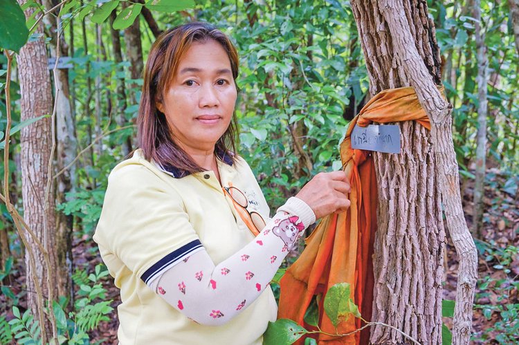 রাচাপ্রাপা কামফুদ