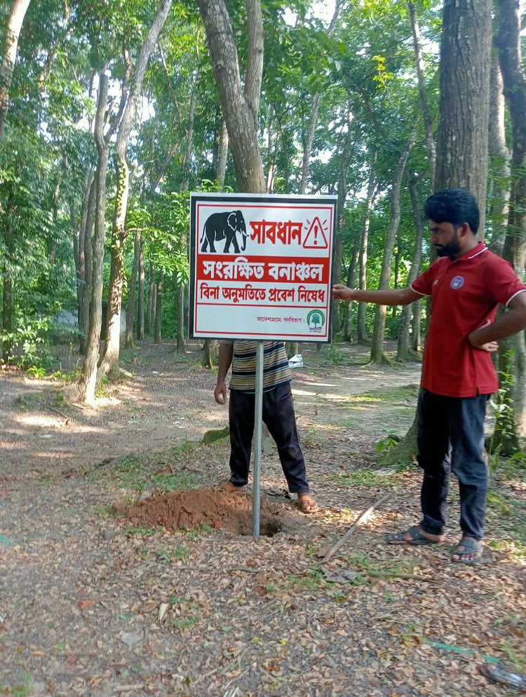 কাপ্তাই রেঞ্জের বিভিন্ন এলাকায় নিষেধাজ্ঞা-সংবলিত বিলবোর্ড স্থাপন করেছে বন বিভাগ। ছবি: আজকের পত্রিকা