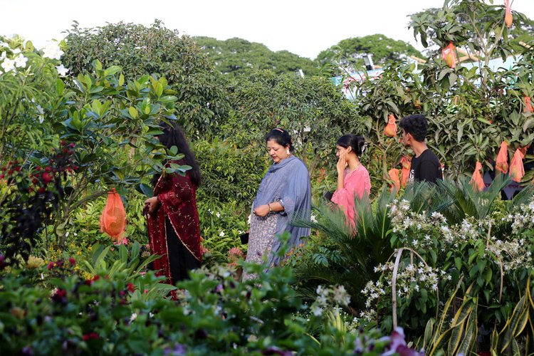 জাতীয় বৃক্ষমেলায় স্টল ঘুরে দেখছেন দর্শনার্থীরা। ছবি: ওমর ফারুক