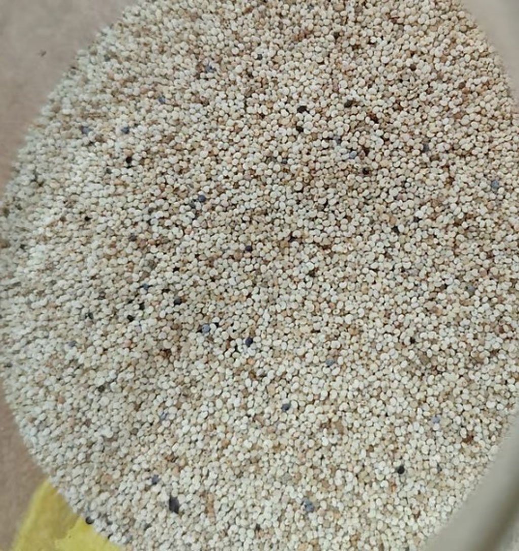 পাকিস্তান থেকে এল নিষিদ্ধ পণ্য, বার্ড ফুডের নামে পপিবীজের চালান