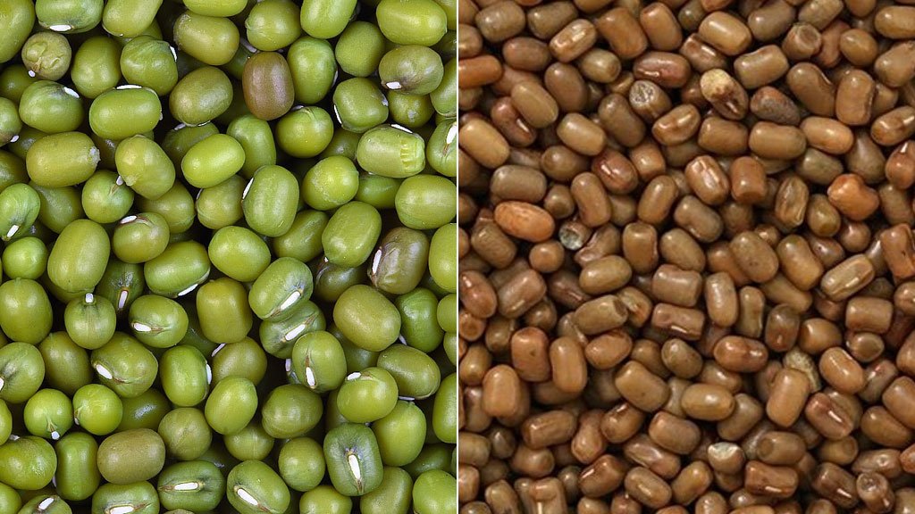 রং মিশিয়ে মুগ ডাল নামে বিক্রি, সতর্ক করল নিরাপদ খাদ্য কর্তৃপক্ষ