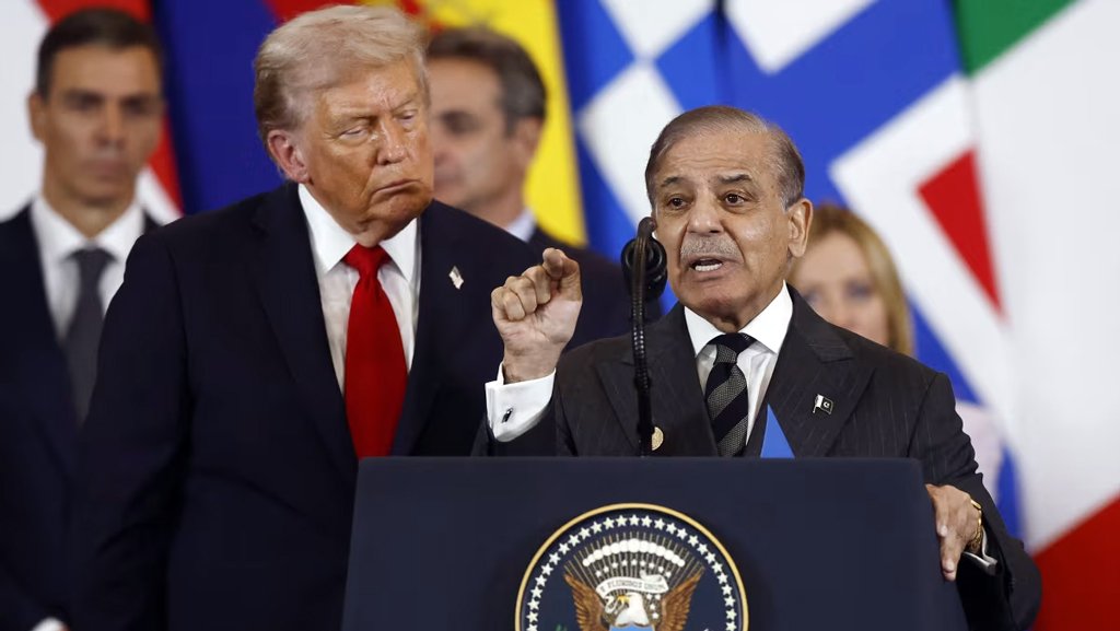 বিরল খনিজ ও তোষামোদের কূটনীতি: পাকিস্তান দেখাল কীভাবে ট্রাম্পের সঙ্গে ‘ডিল’ করতে হয়