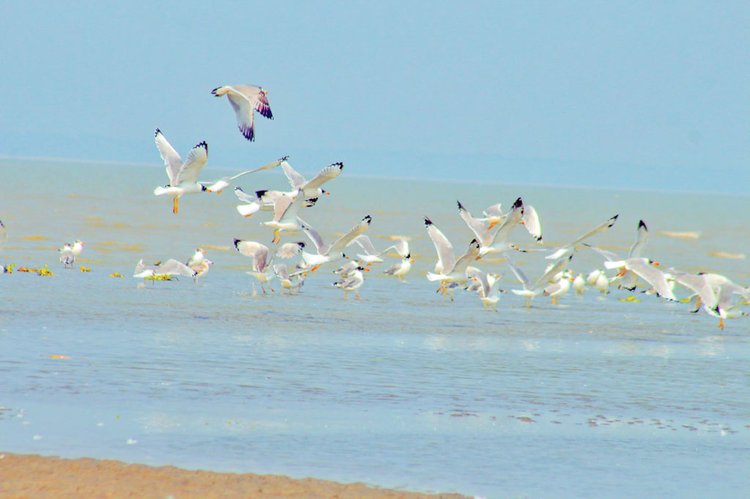 ছবি: আজকের পত্রিকা