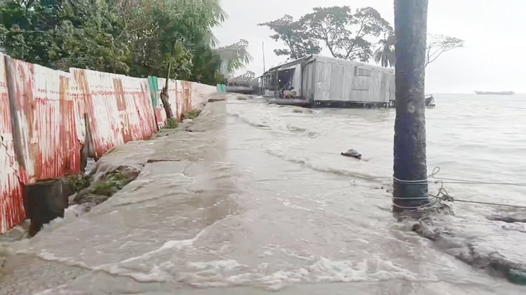 ভোলা