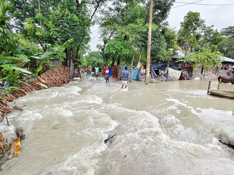 ভোলা