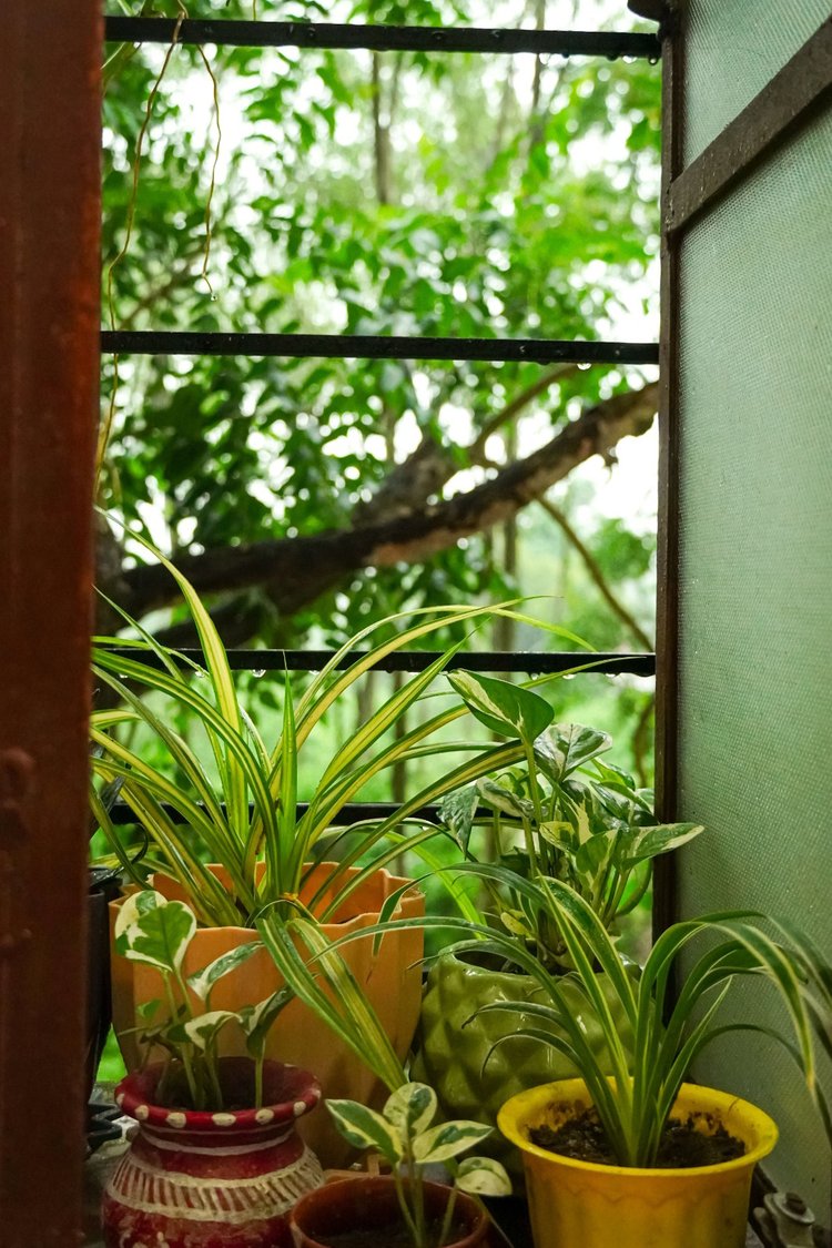 ছবি: পেক্সেলস