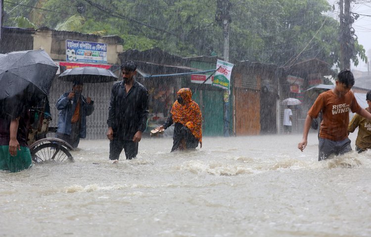 ফাইল ছবি