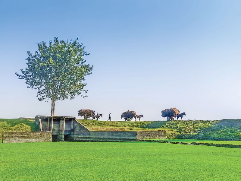 আবার-আসিবো-ফিরে-ধানসিঁড়িটির-তীরে-min