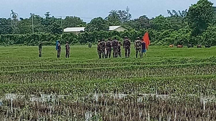 পতাকা বৈঠকের মাধ্যমে ১৫টি গরু ফেরত আনে বিজিবি