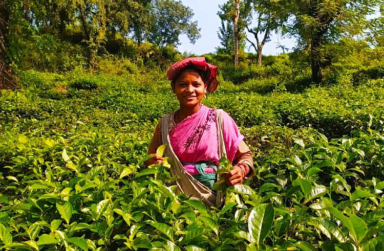 অন্তরা ভূমিদ। ছবি: আজকের পত্রিকা