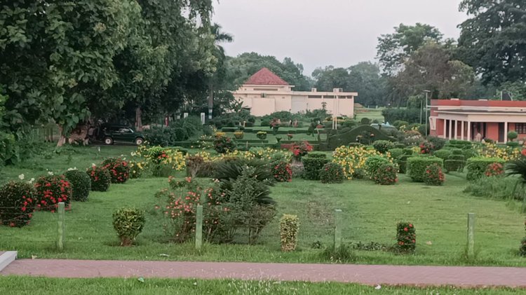 হাজার বছরের পুরোনো বৌদ্ধবিহারে এখন সবুজের সমারোহ, এর গায়ে লেগেছে রঙিন ফুলের ছোঁয়া। ছবি: আজকের পত্রিকা